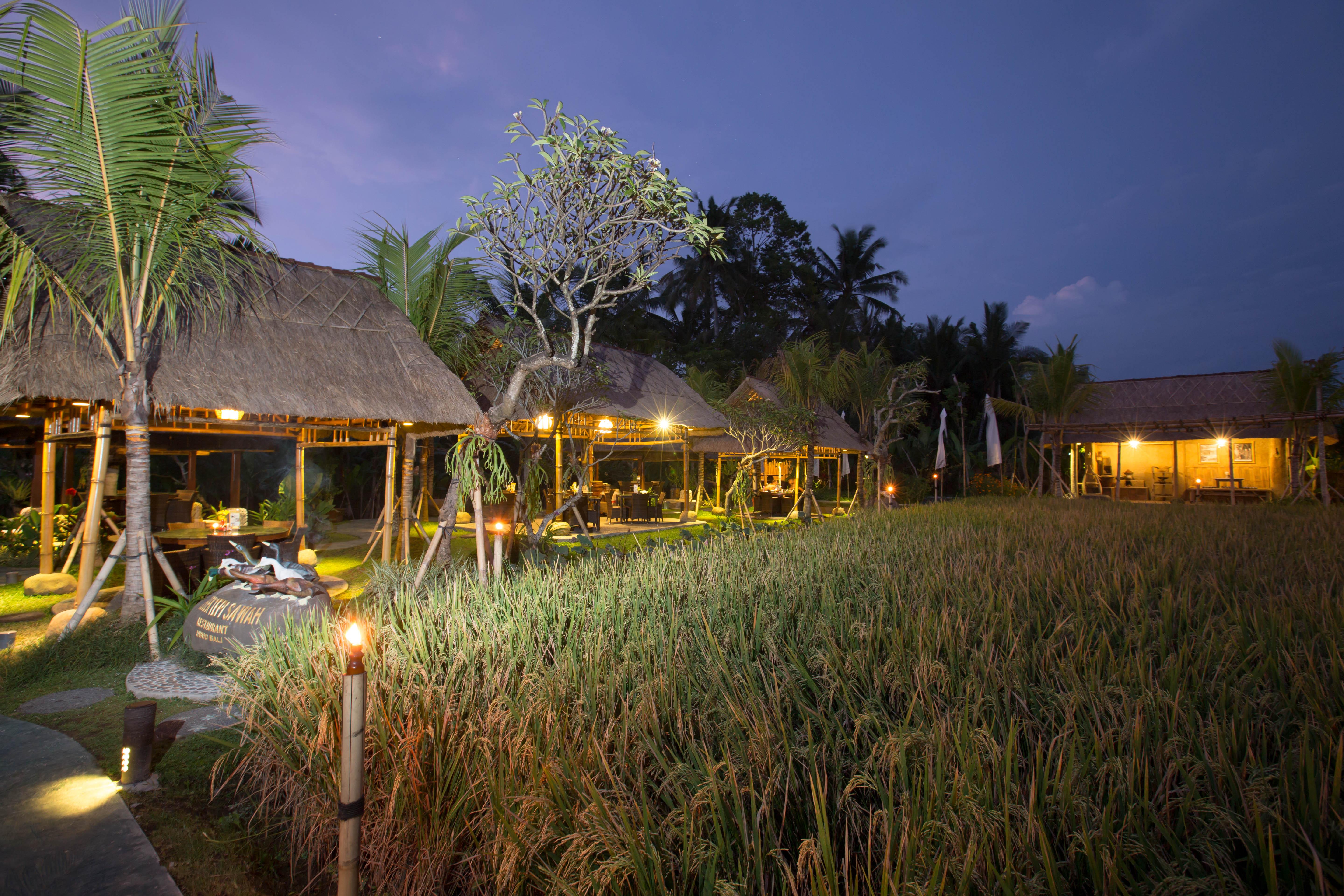 Resort Bebek Tepi Sawah Restaurant & Ubud (Bali)