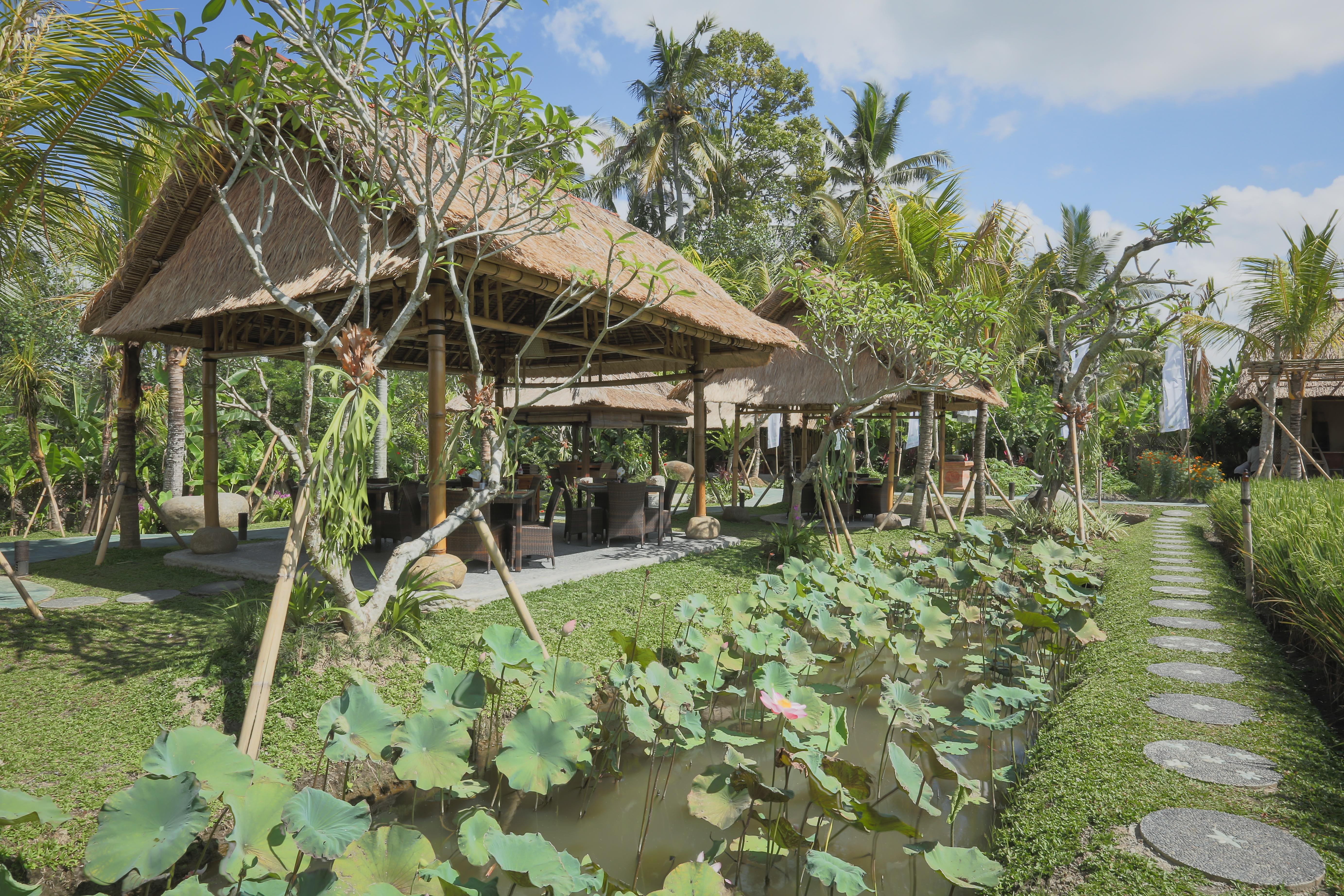 Bebek Tepi Sawah Restaurant & 4* Ubud (Bali)