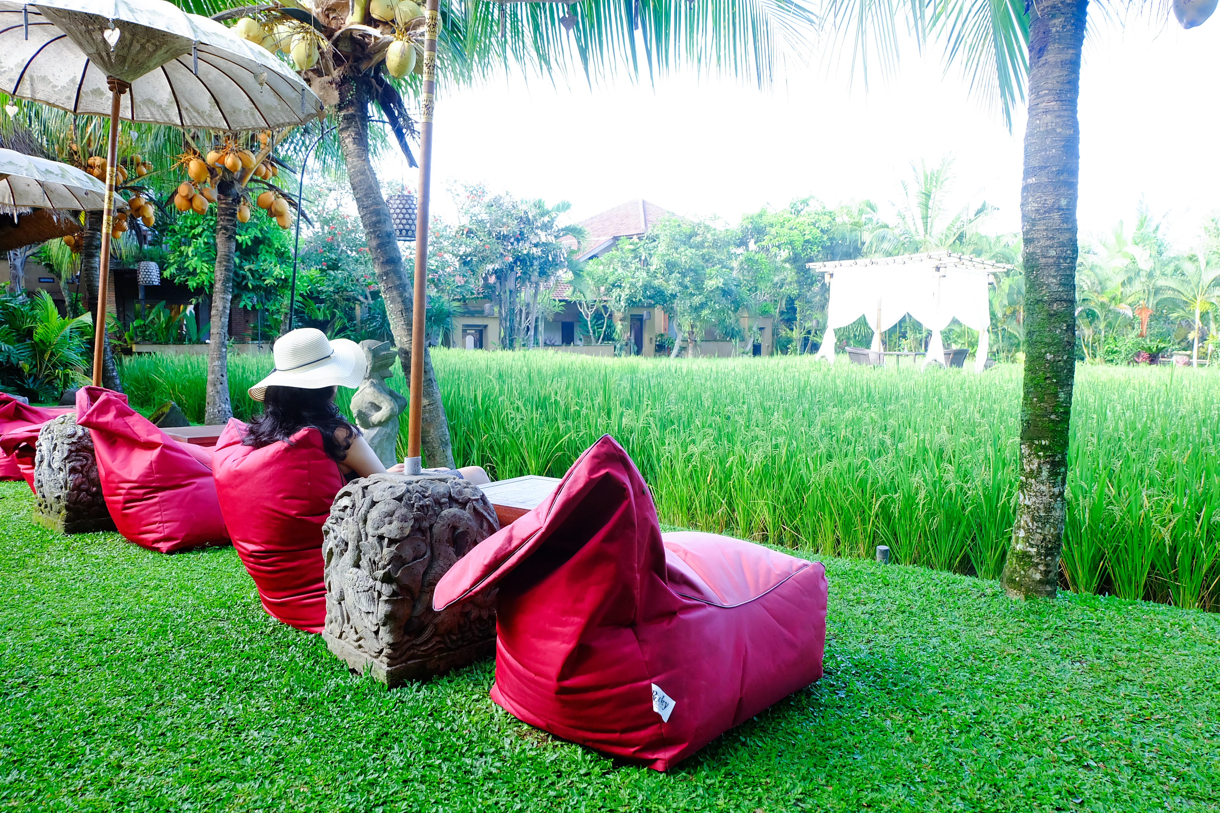 Bebek Tepi Sawah Restaurant &