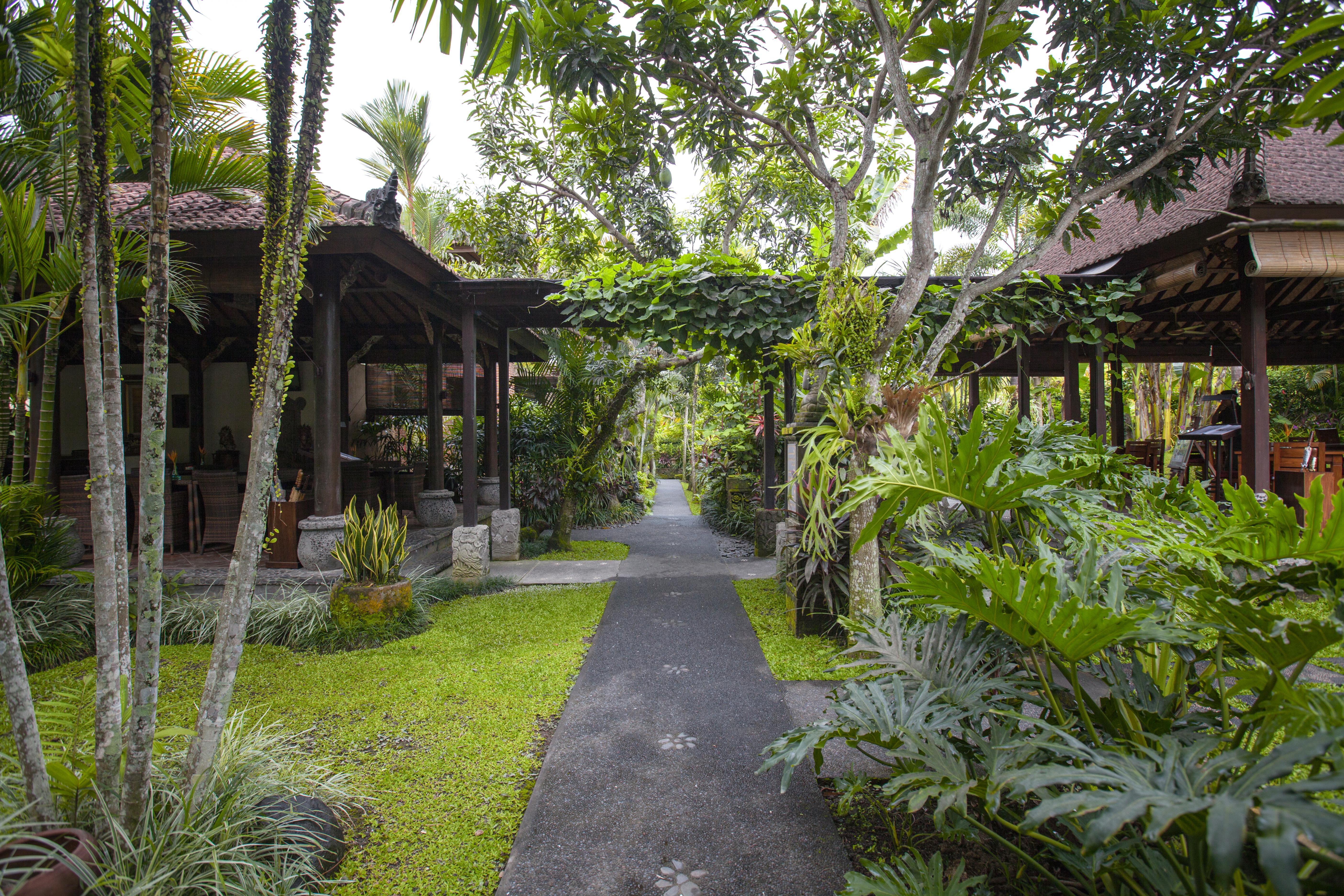 Resort Bebek Tepi Sawah Restaurant & Ubud (Bali)