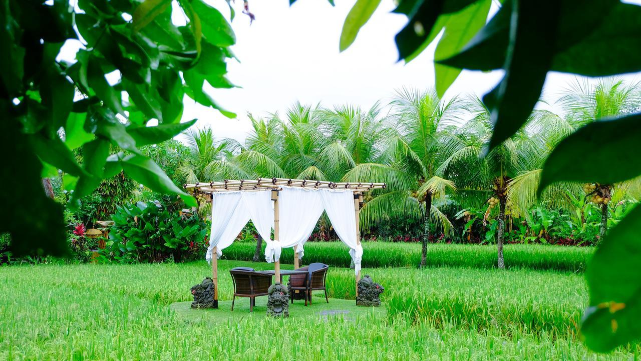 Resort Bebek Tepi Sawah Restaurant & Ubud (Bali)